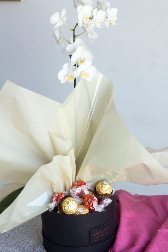 Chocolate Box